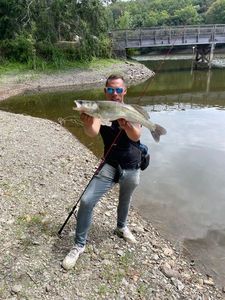 Zander