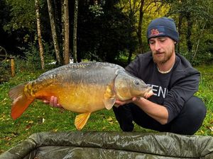 Mirror Carp