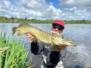 Northern Pike