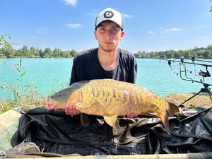 Mirror Carp