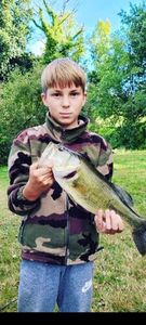 Largemouth Bass
