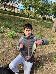 European Perch