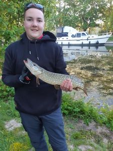 Northern Pike