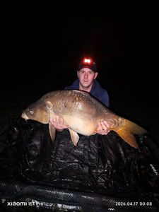 Mirror Carp