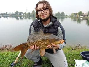 Common Carp
