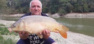 Mirror Carp