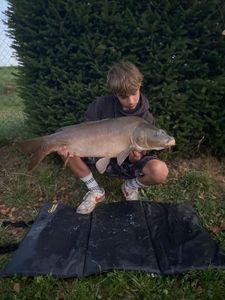 Mirror Carp