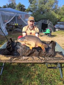 Mirror Carp