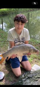 Common Carp