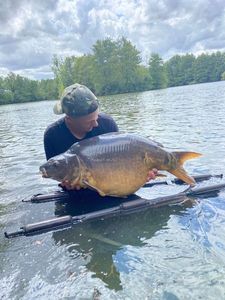 Mirror Carp