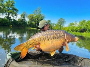 Mirror Carp