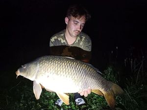 Common Carp