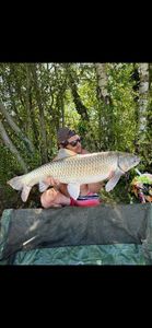 Grass Carp