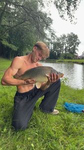 Common Carp