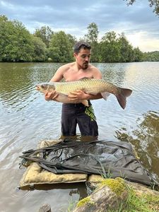 Grass Carp