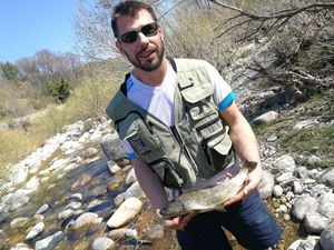 Brown Trout