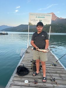 European Perch