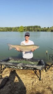 Grass Carp