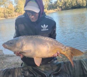 Mirror Carp