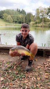 Mirror Carp