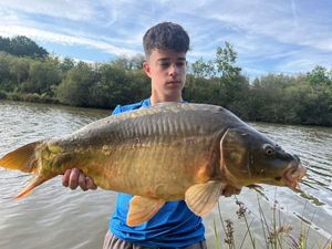 Mirror Carp