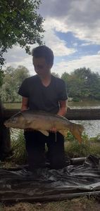 Mirror Carp