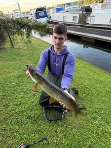 Northern Pike