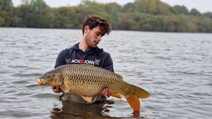Common Carp