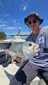Giant Trevally (GT)