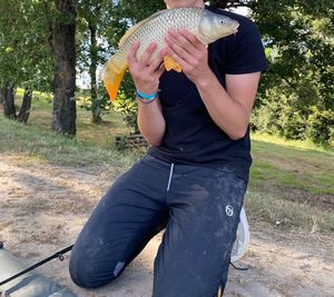 Common Carp