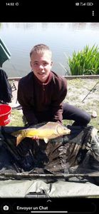 Mirror Carp