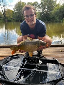 Mirror Carp