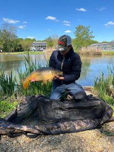 Leather Carp