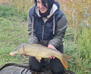 Common Carp