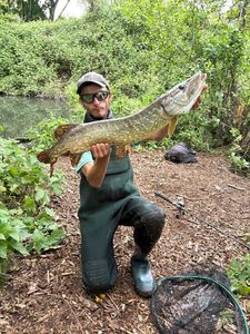 Northern Pike
