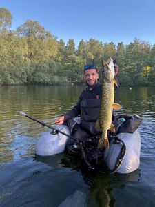 Northern Pike
