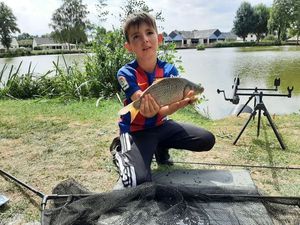 Common Carp