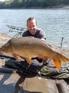Common Carp