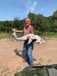 Sturgeon
