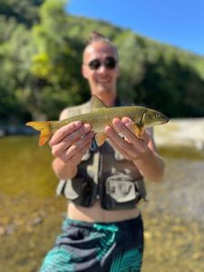 Barbel