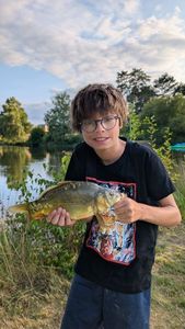 Mirror Carp