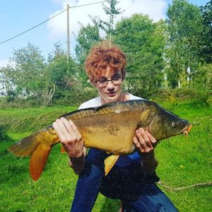 Mirror Carp