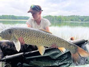 Grass Carp