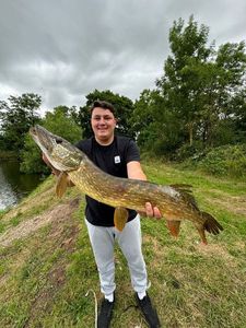 Northern Pike