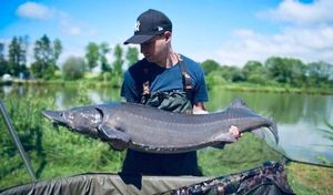 Sturgeon