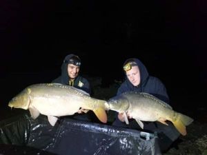 Mirror Carp
