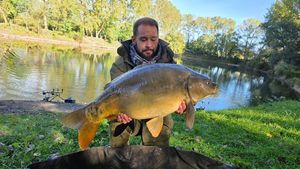 Mirror Carp