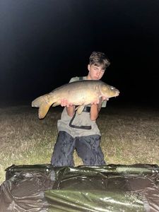 Mirror Carp