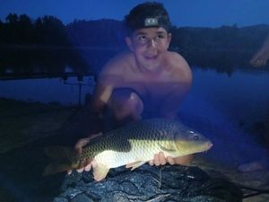 Common Carp
