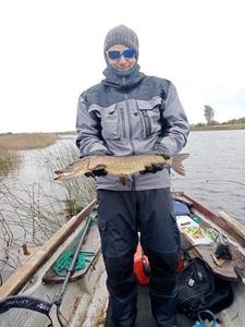 Northern Pike